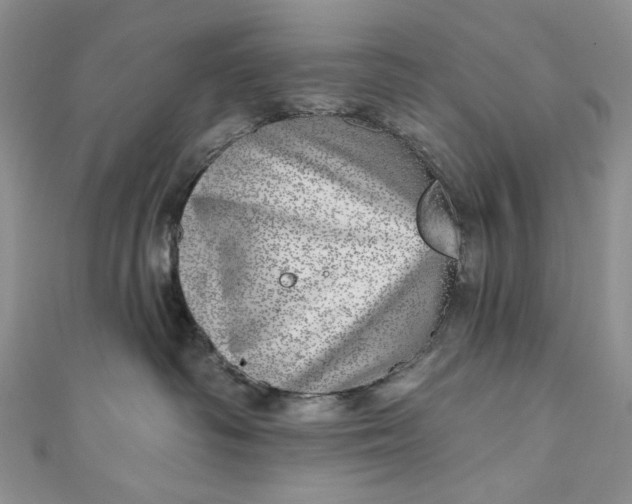 X0000110880334200907021502