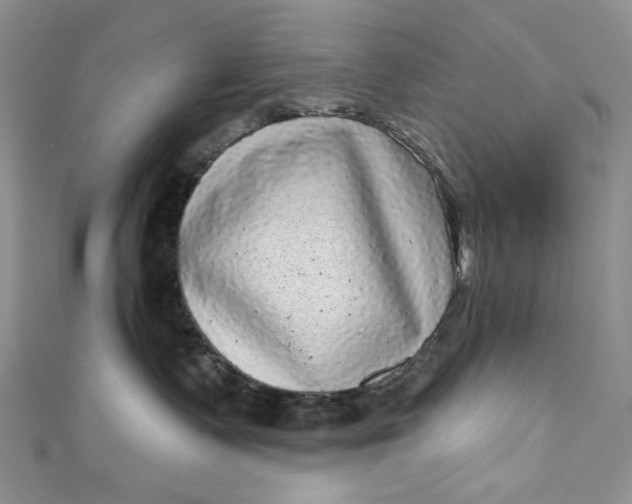 X0000110880335200907021502