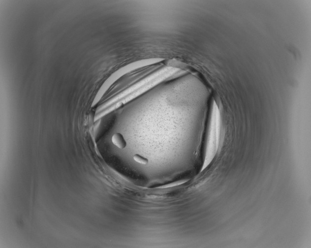 X0000110880336200907021502