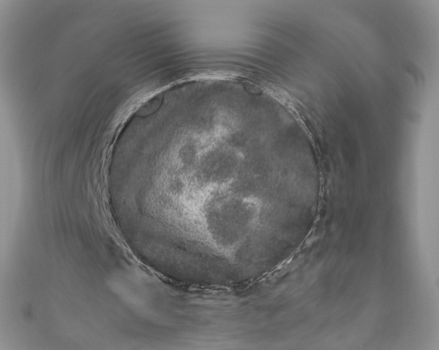 X0000110880337200907021501