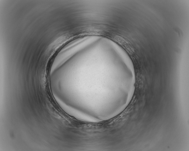 X0000110880338200907021501