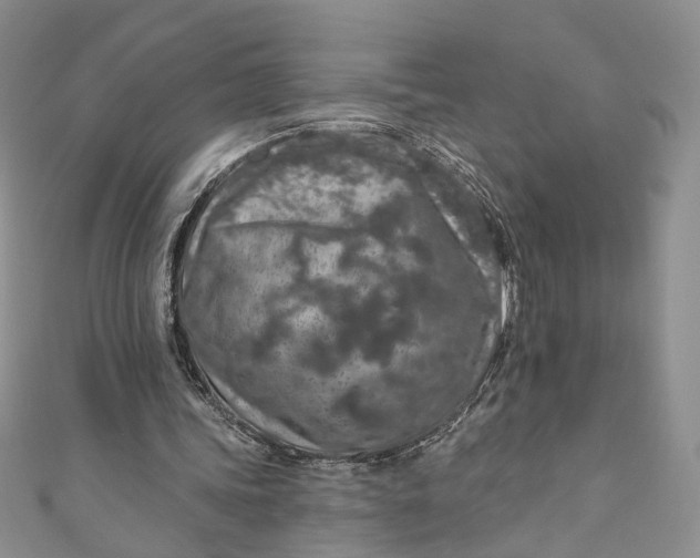 X0000110880339200907021501