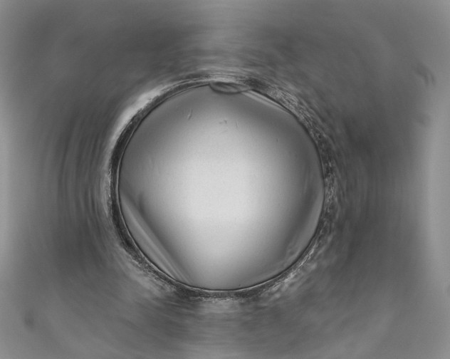 X0000110880342200907021501