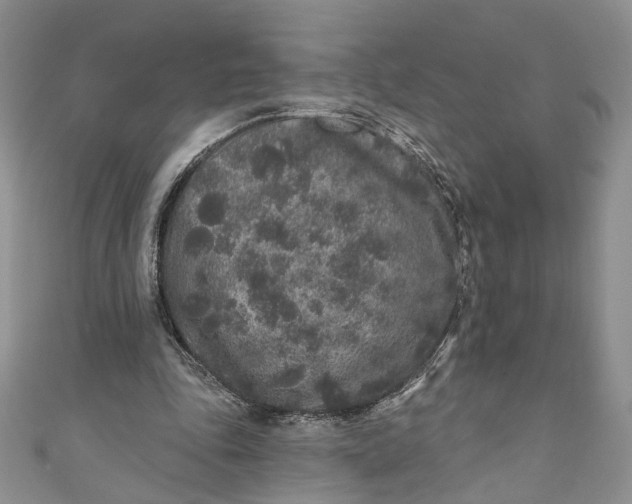 X0000110880343200907021501