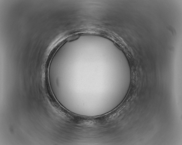 X0000110880344200907021501