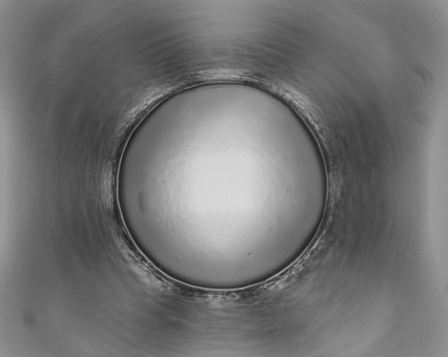 X0000110880345200907021501