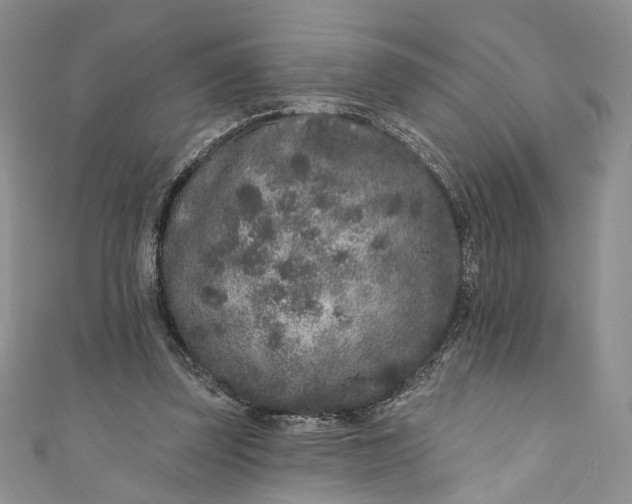 X0000110880347200907021501