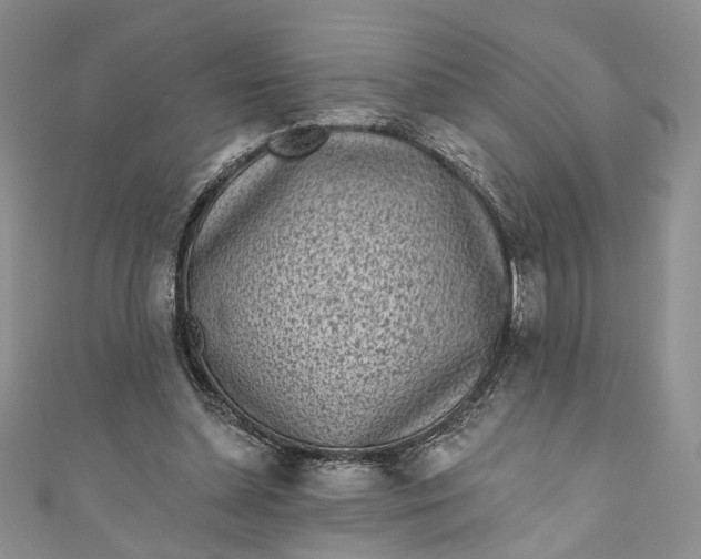X0000110880348200907021501