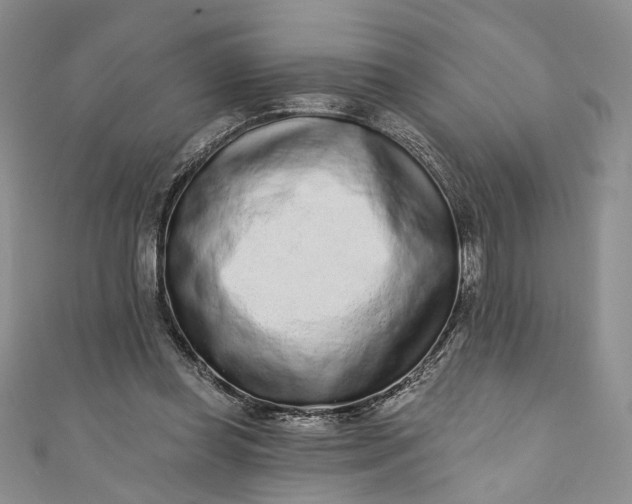 X0000110880349200907021501