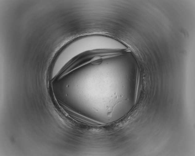 X0000110880350200907021501