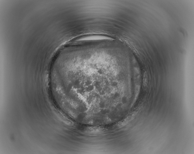 X0000110880351200907021501