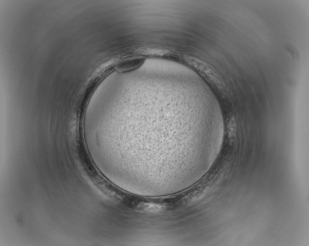 X0000110880352200907021501