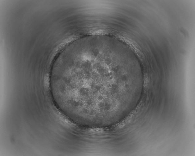 X0000110880353200907021501