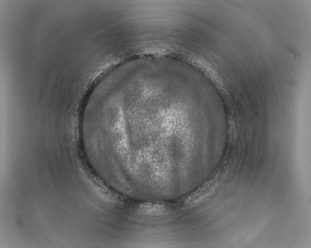 X0000110880354200907021501