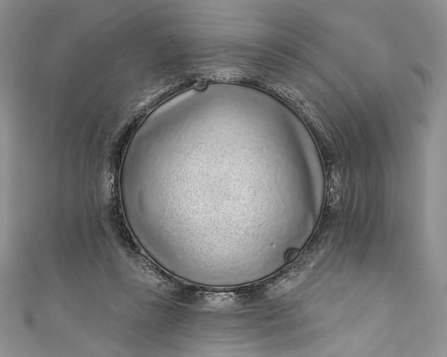 X0000110880355200907021501