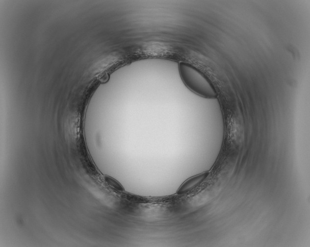 X0000110880356200907021501