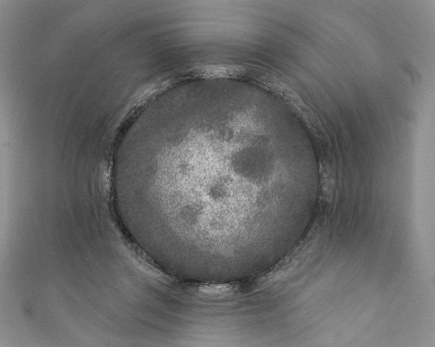 X0000110880357200907021501