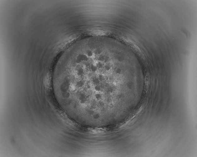 X0000110880359200907021501