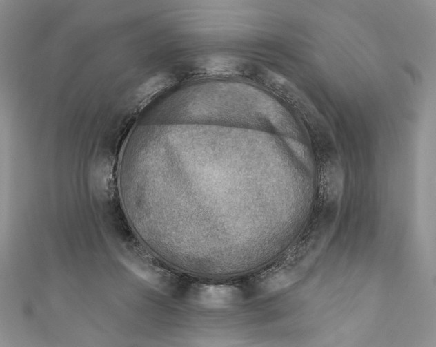 X0000110880360200907021501
