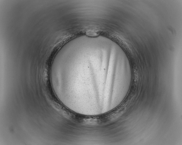 X0000110880362200907021501