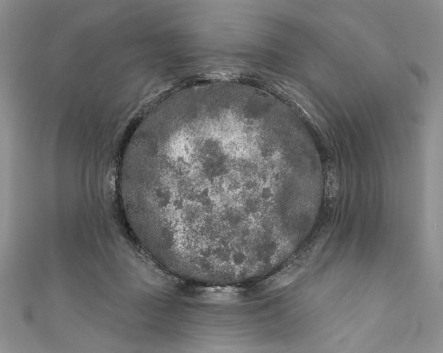 X0000110880363200907021502