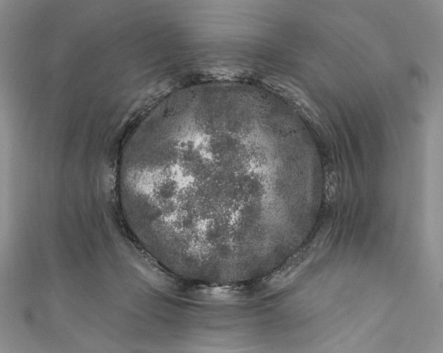 X0000110880365200907021502