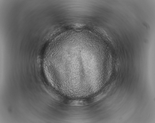 X0000110880366200907021502