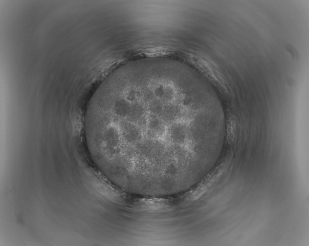 X0000110880367200907021502