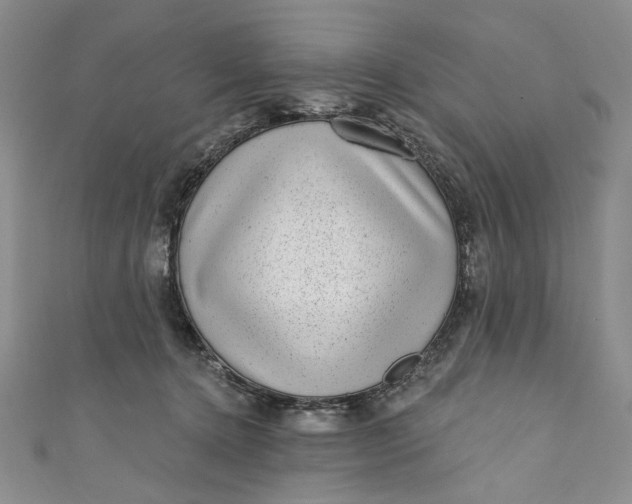 X0000110880368200907021502
