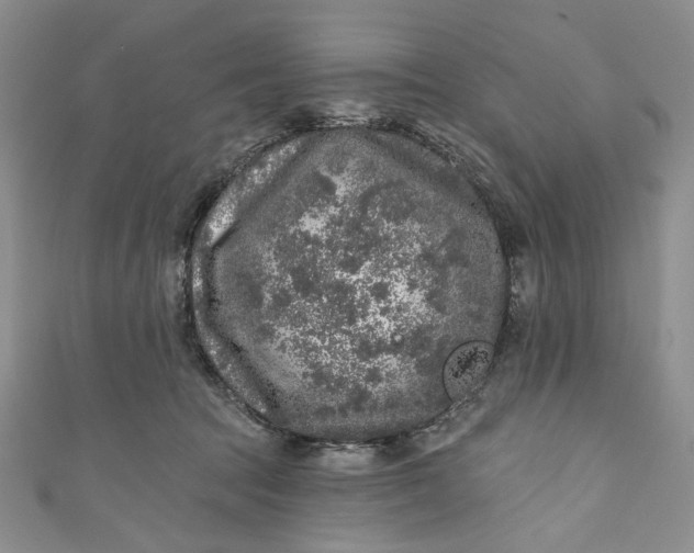 X0000110880369200907021502