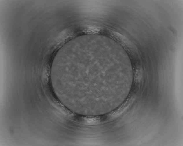 X0000110880370200907021502