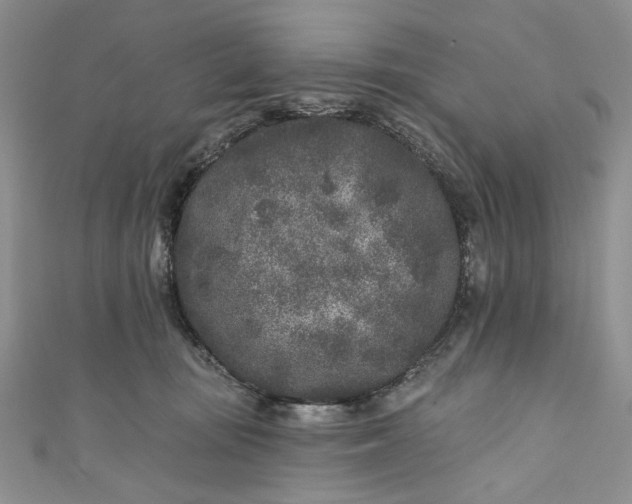 X0000110880371200907021502