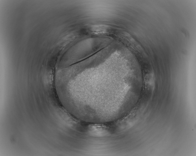 X0000110880372200907021502