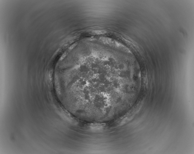 X0000110880373200907021502