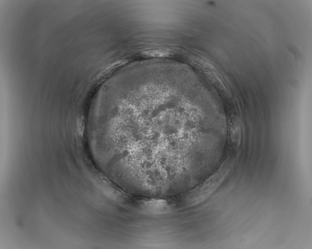 X0000110880374200907021502