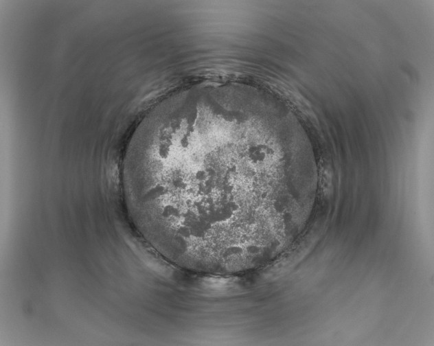 X0000110880375200907021502