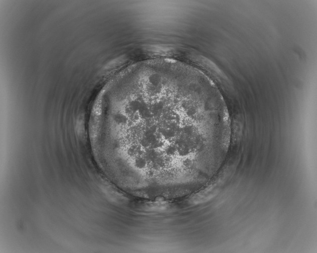 X0000110880377200907021502