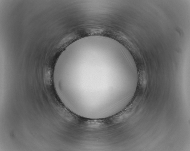 X0000110880378200907021502