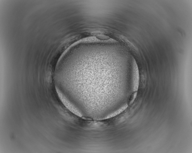 X0000110880379200907021502