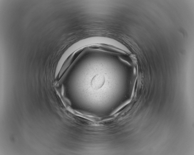 X0000110880380200907021502