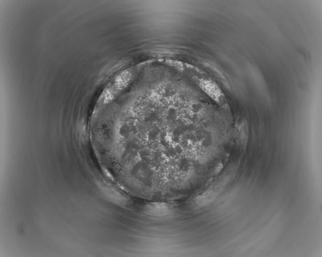 X0000110880381200907021502