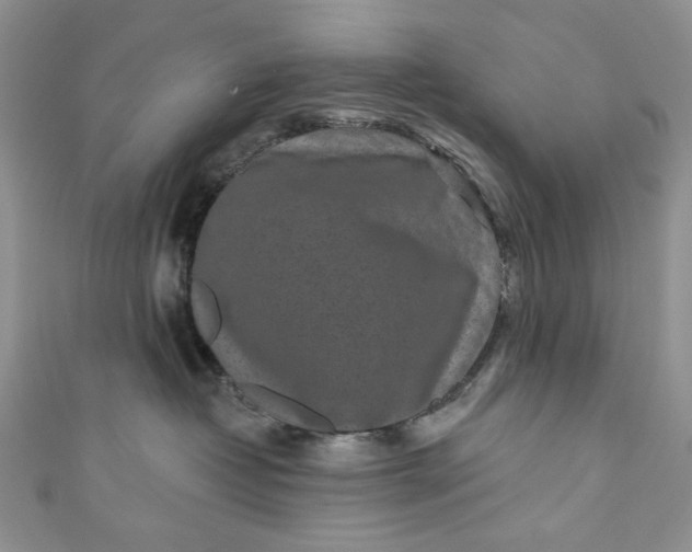 X0000110880382200907021502