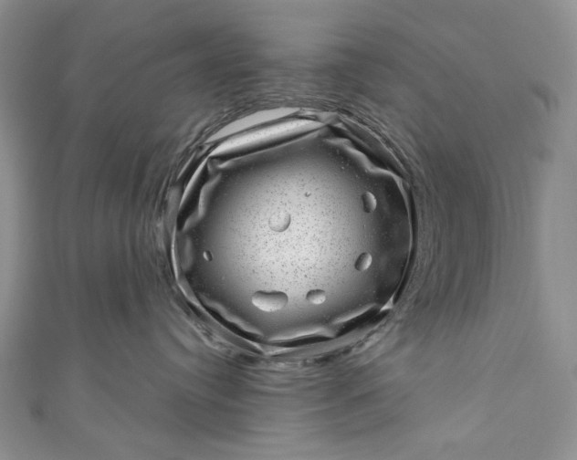 X0000110880384200907021502