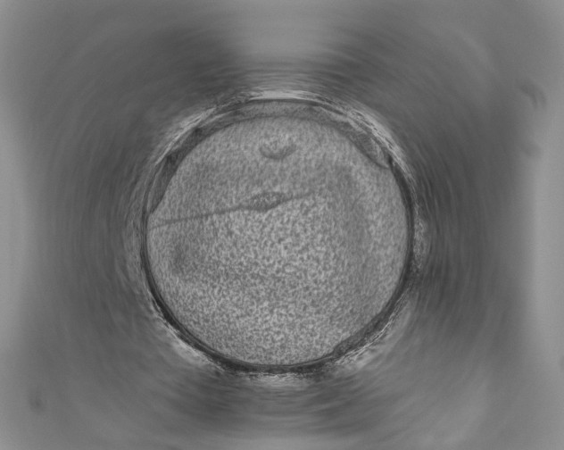 X0000110880385200907021501