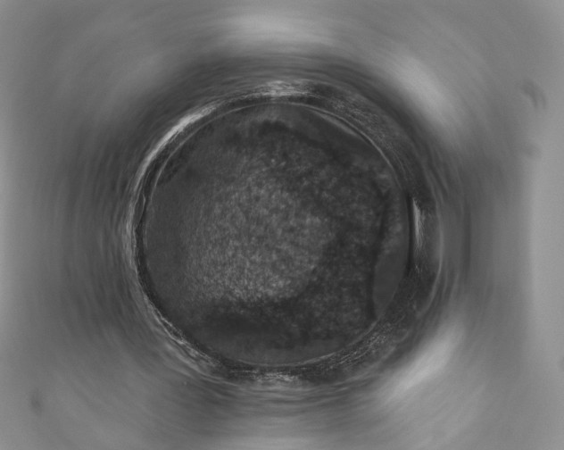 X0000110880387200907021501