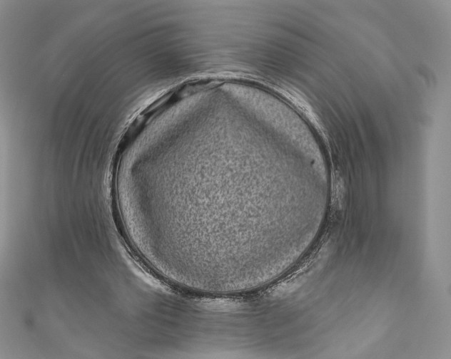 X0000110880389200907021501