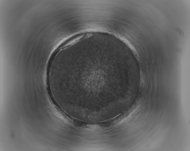 X0000110880391200907021501