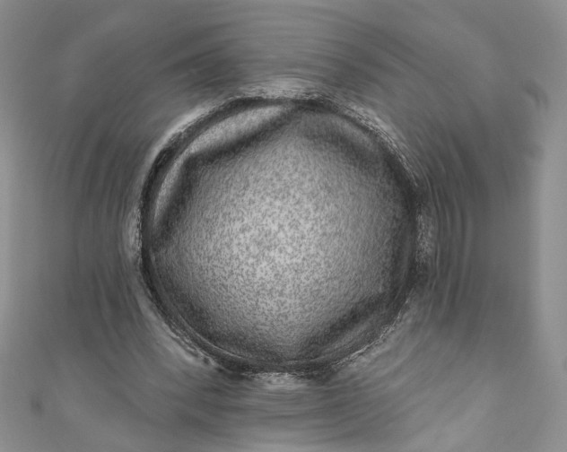 X0000110880392200907021501