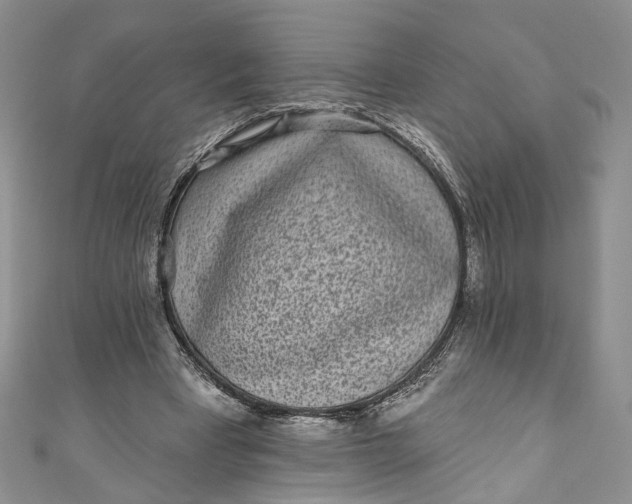 X0000110880393200907021501