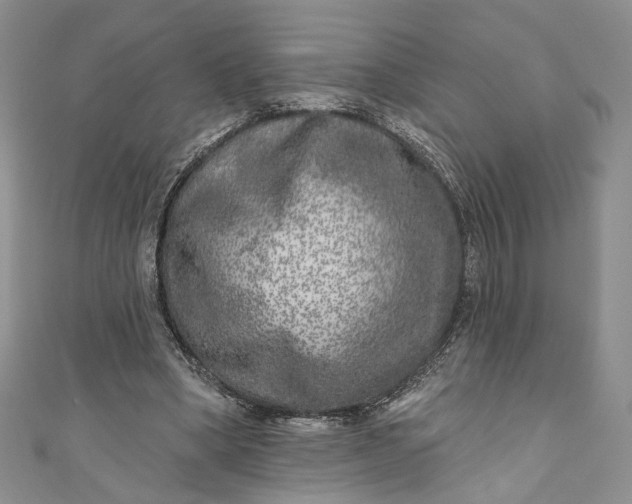 X0000110880394200907021501